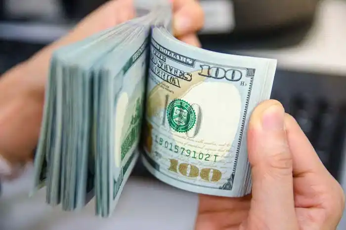 El dólar informal cerró la semana en alza y el Central volvió a comprar divisas