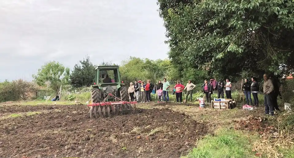 Talleres de huerta comunitaria e inclusiva
