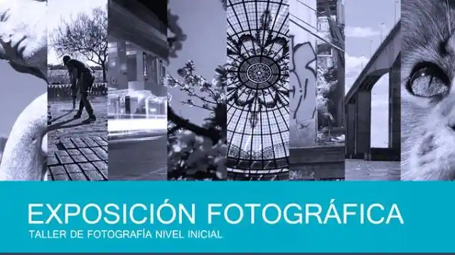 Diversas propuestas de “Liebre de Marzo”
