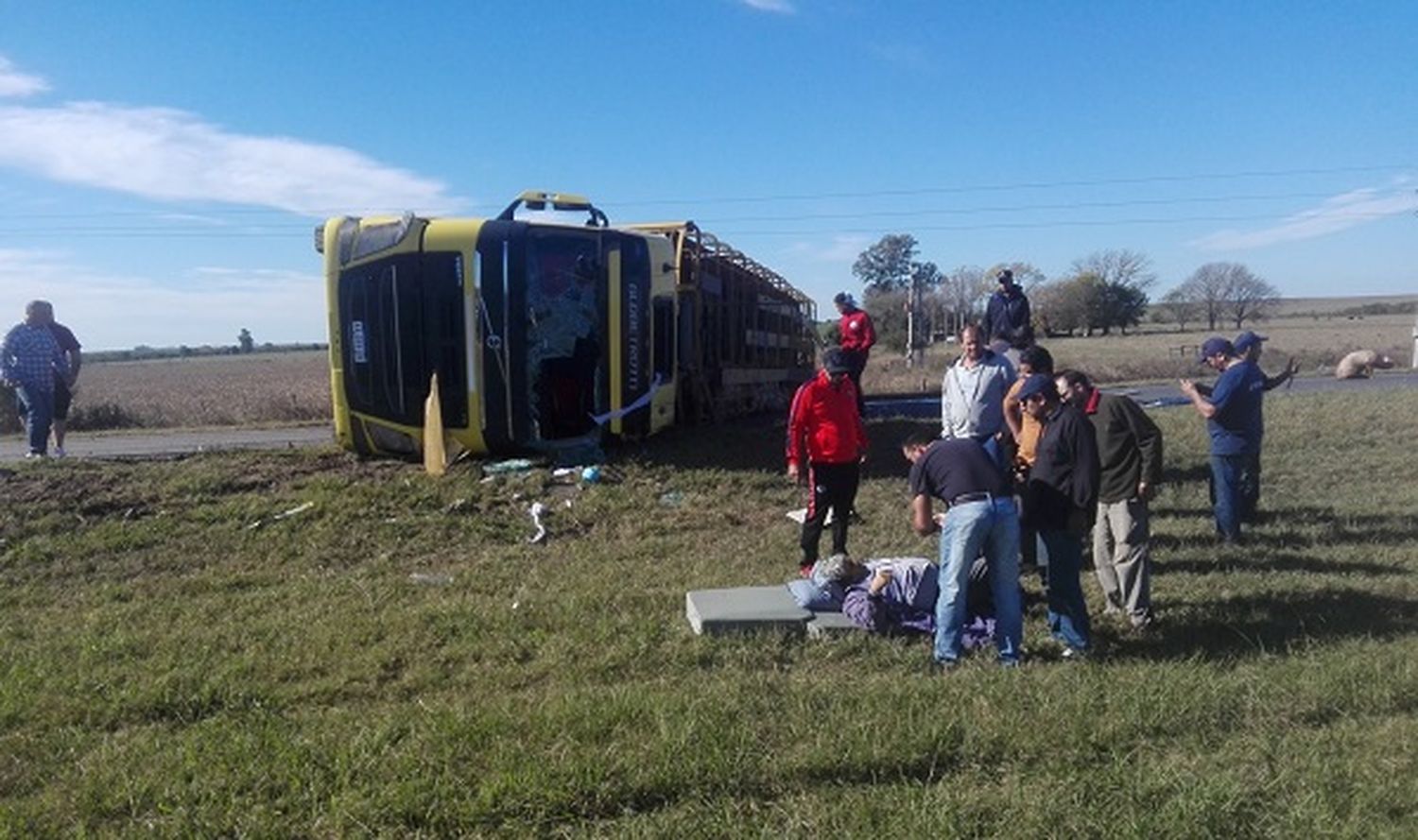 Un camión cargado con cerdos, se cruzó de carril y volcó en la Ruta 14