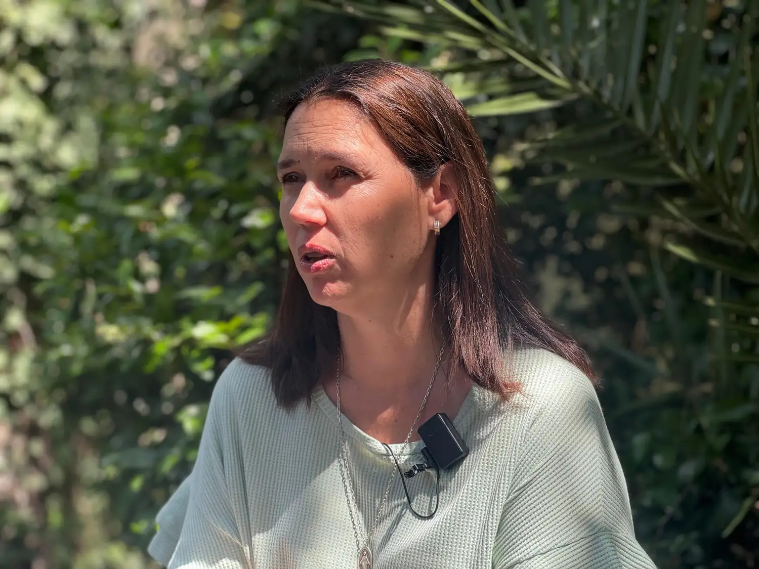 Silvia Schiaffino, vicedirectora del Isistan.