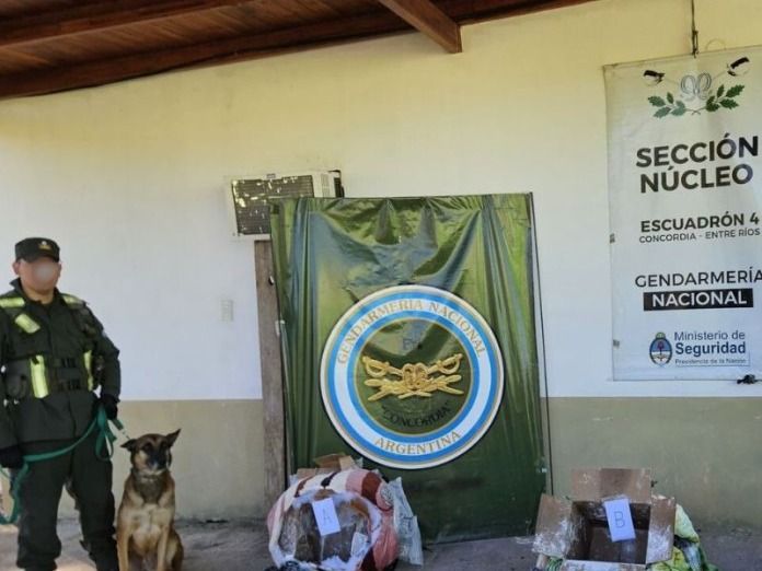 Hallaron más de 112 kilos de marihuana ocultos en encomiendas en Entre Ríos