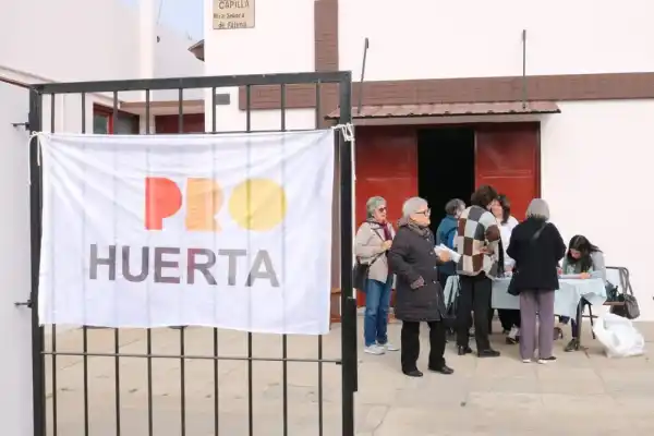 Más de 400 familias de Chascomús recibieron los kits de semillas para desarrollar huertas en sus casas