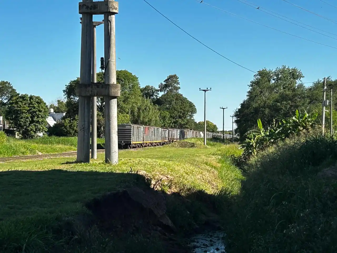 El momento en que la formación siguió su camino