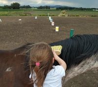 AIRES DE TANDIL: Terapias y actividades asistidas con caballos