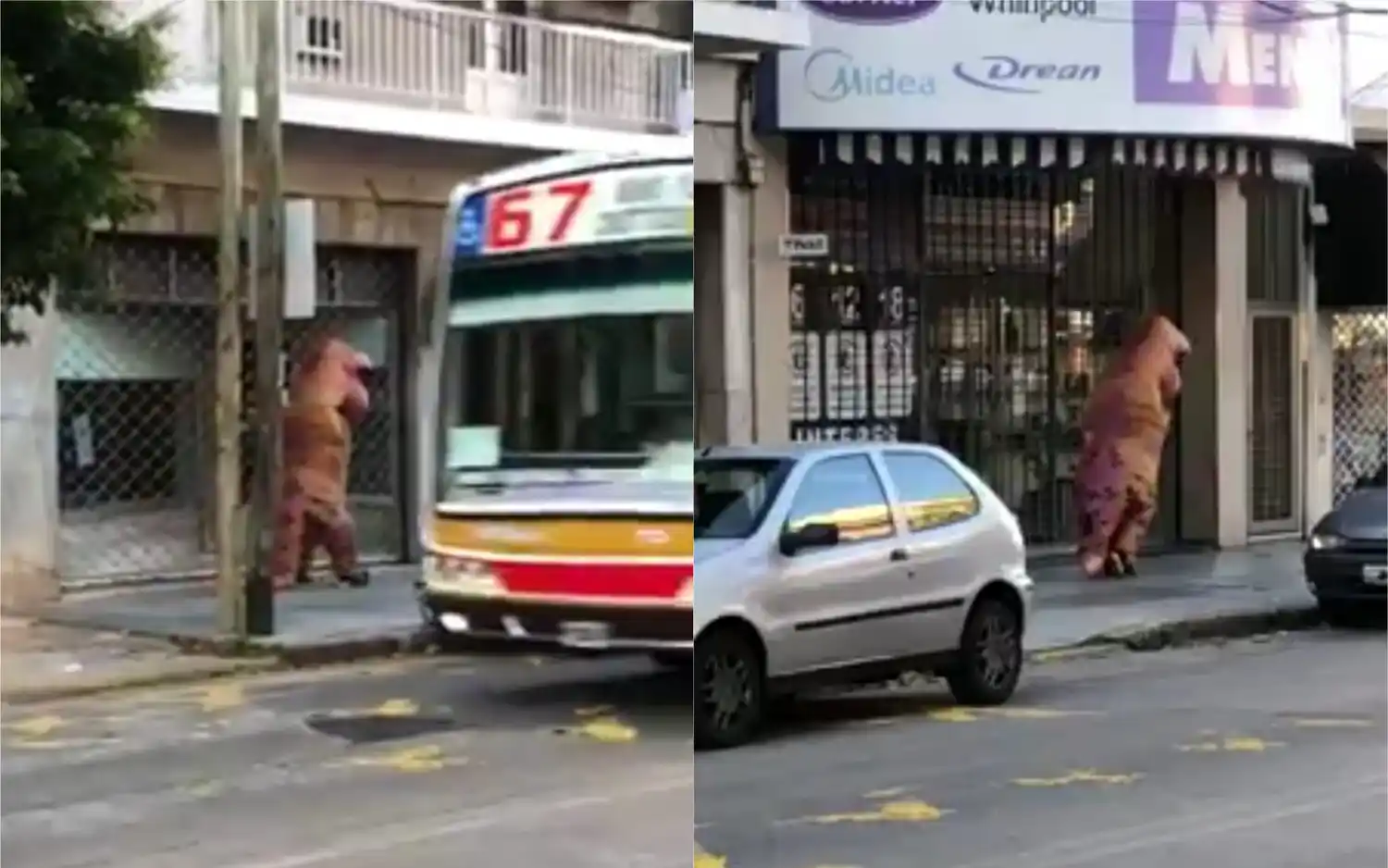 Insólito: Es de Vicente López y se disfrazó de dinosaurio para no contagiarse coronavirus 