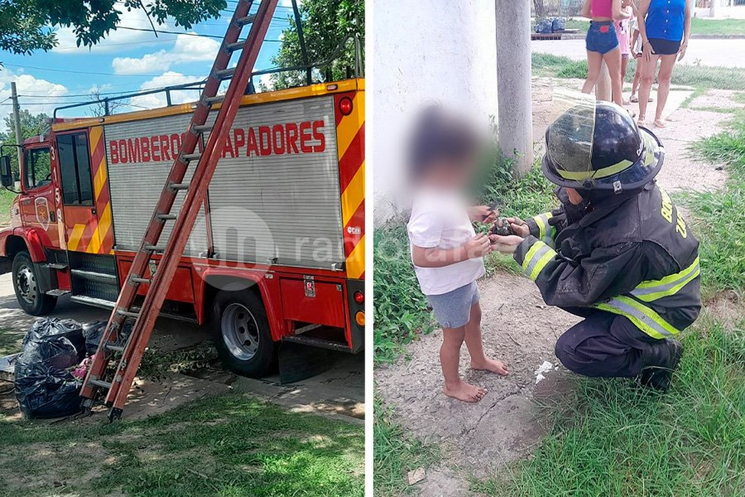 Bomberos Zapadores rescataron a un lorito que se le voló a una familia y no podía bajar de un árbol