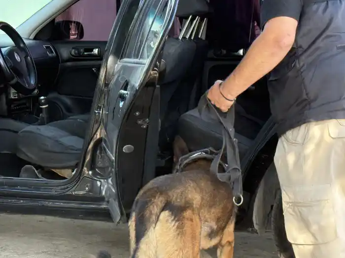 Multioperativo en el barrio Zazpe: los 23 allanamientos terminaron con resultados favorables - 1