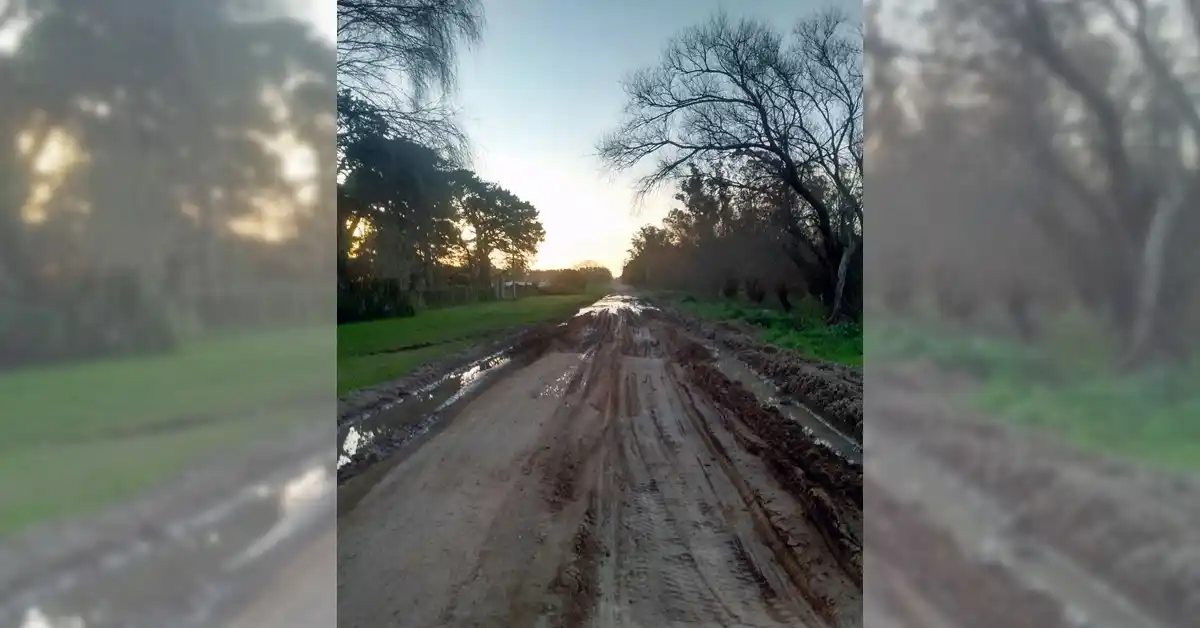 Escuela 34: más de 200 chicos sin clases porque no llega el colectivo