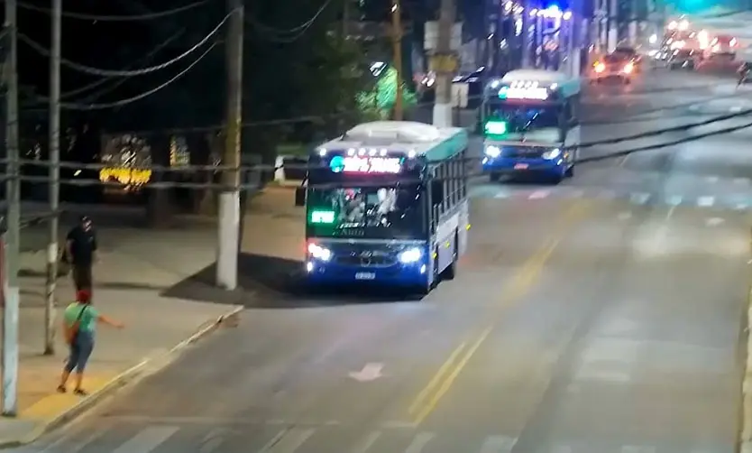 Robaron en una casa y quisieron escapar en colectivo: fueron detenidos