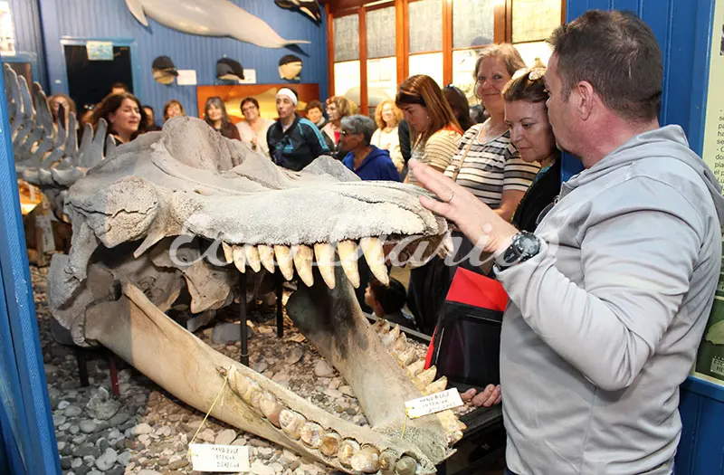 La «Tarde de museos» despertó interés