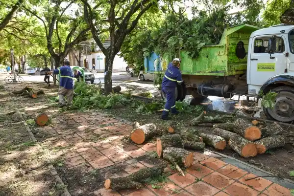 Caída de árboles, ramas y cables cortados fue el saldo que dejó la tormenta en Chascomús