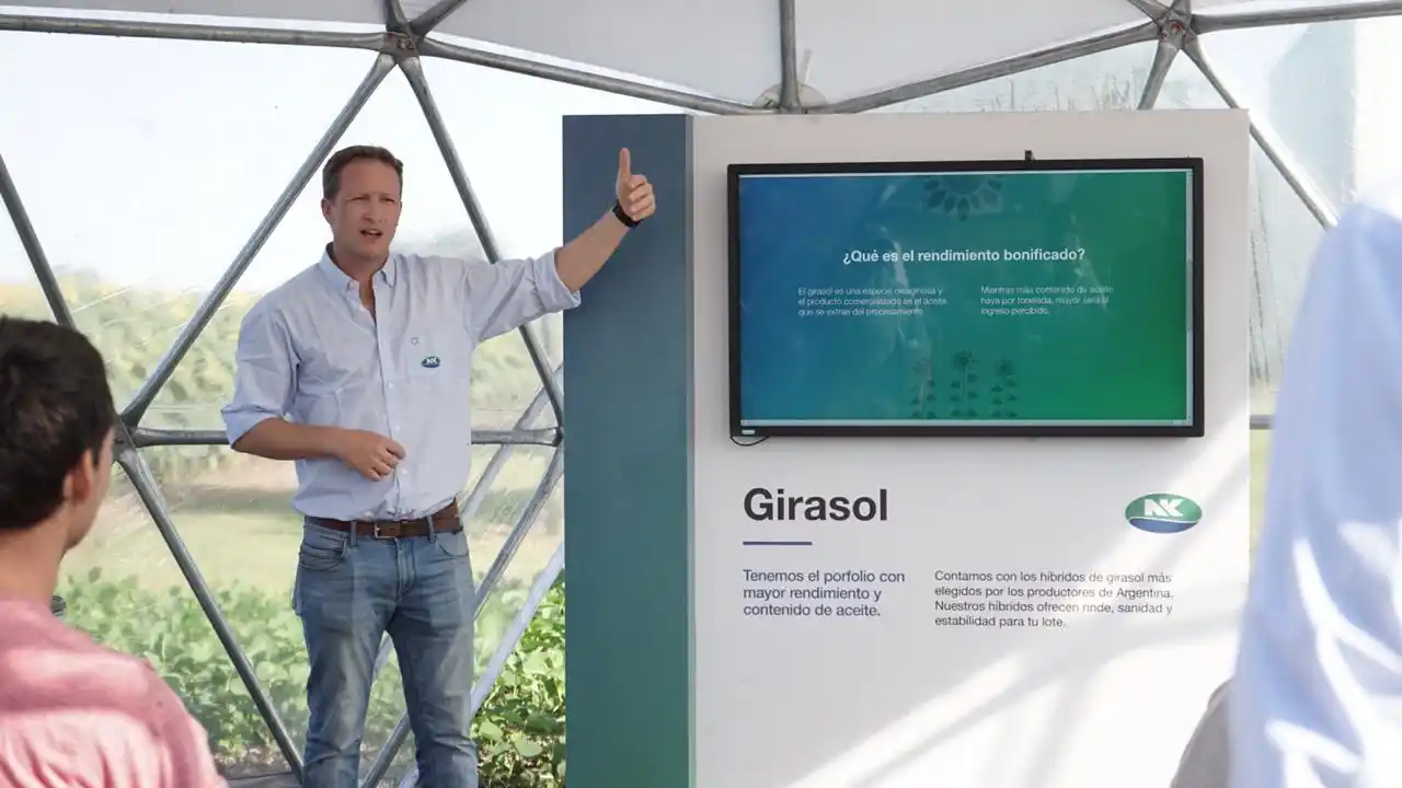 El “Punto NK” llegó a Trenque Lauquen con toda la innovación de semillas para maiz, girasol y soja