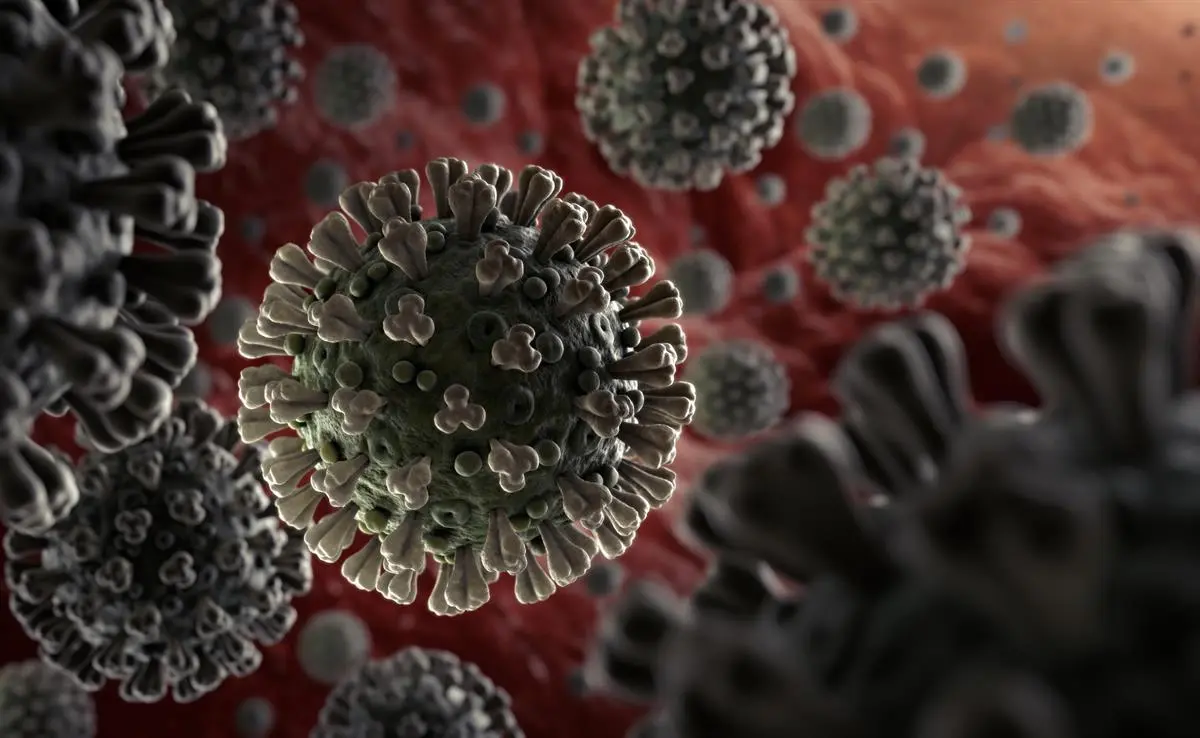 #Coronavirus 7 de agosto: 9.803 nuevos casos y 89 muertes reportadas en las últimas 24 horas
