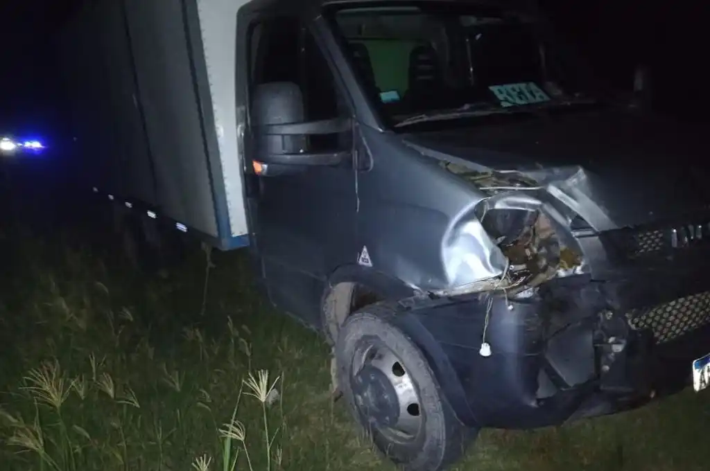 Animales sueltos en la ruta provincial 2: dos vacunos fueron embestidos por un camión