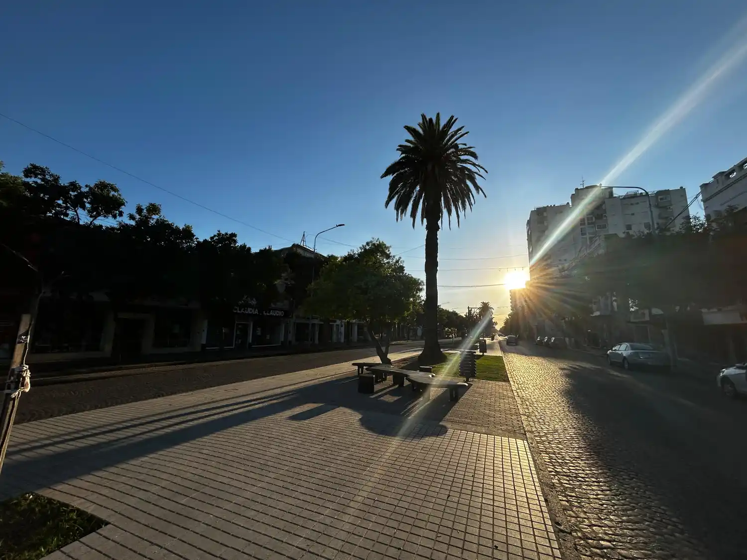 Mitad de semana con clima fresco, cielo despejado, buen tiempo y máxima de 30 °C