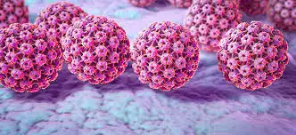 hpv - 3