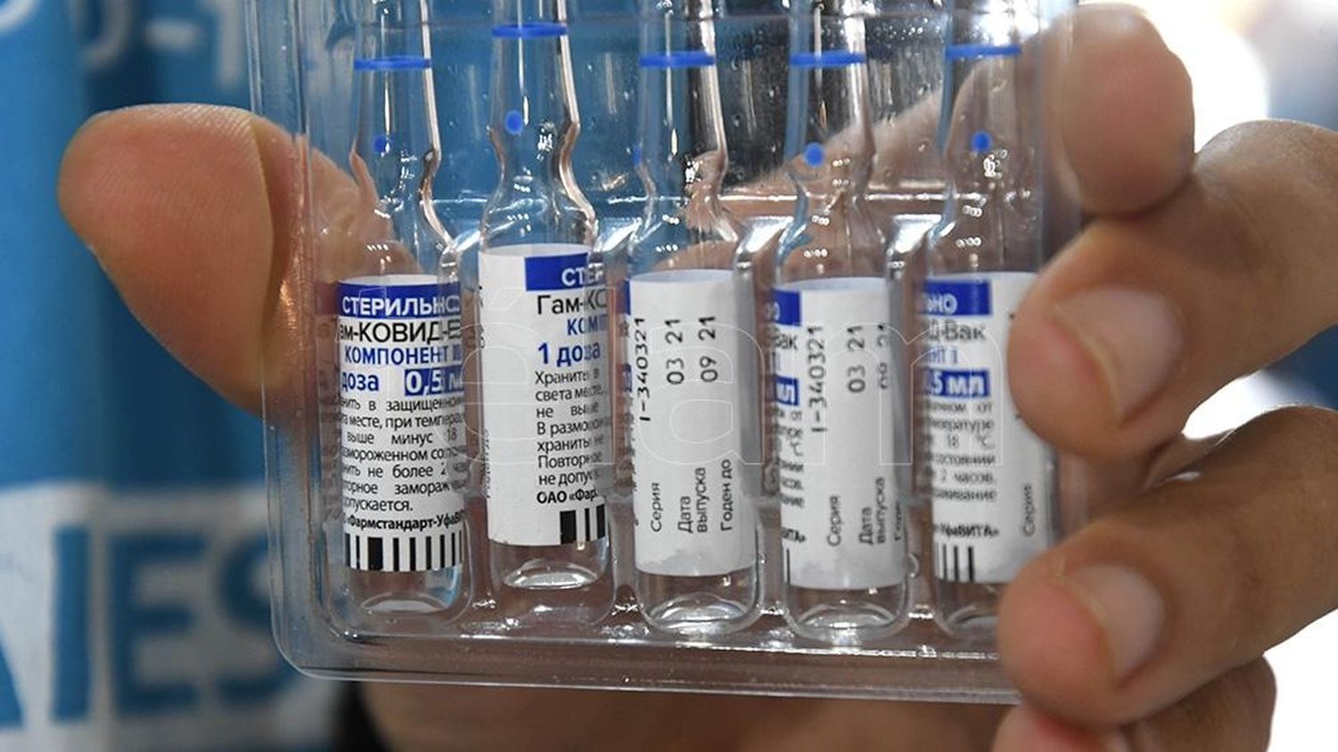 El Instituto Gamaleya aprobó el primer lote de vacunas Sputnik producidas en el país