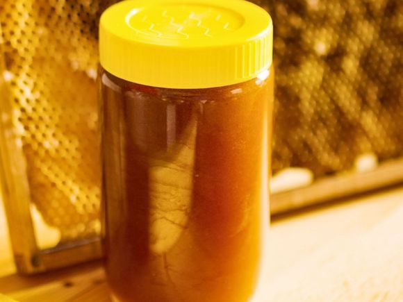 Autoridades de Bromatología participaron de un seminario sobre la cadena de producción de miel
