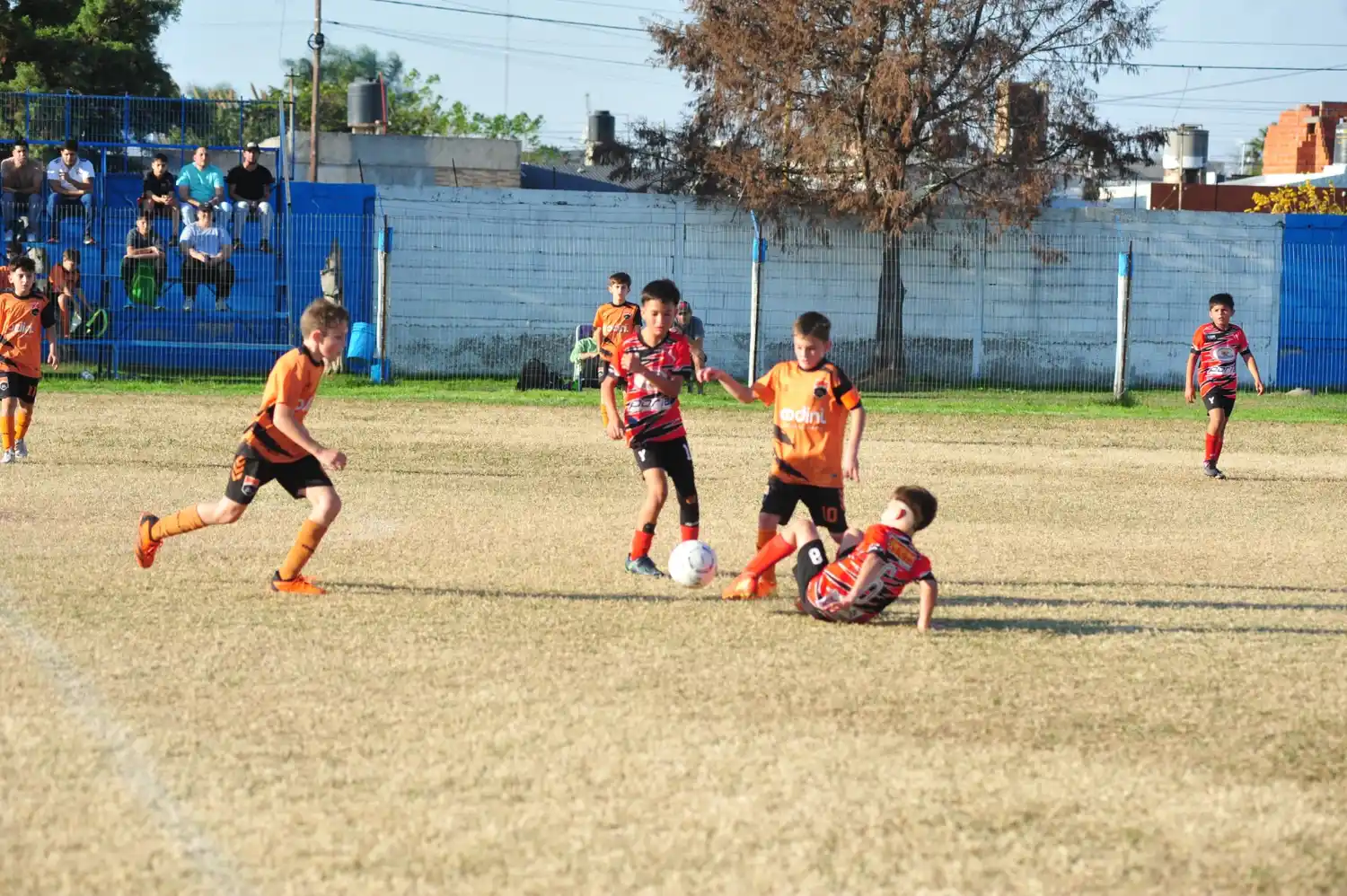 Los chicos tuvieron un fin de semana de intensa actividad..