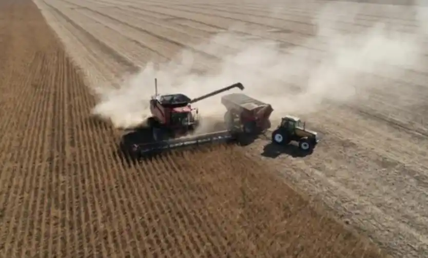 ARBA prorrogó los vencimientos para pagar el Inmobiliario Rural hasta diciembre