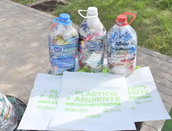 Más de 500 familias concordienses ya forman parte  de la red de hogares verdes 