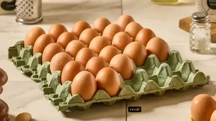 Argentina se convirtió en el país con mayor consumo de huevos: cuántos se comen por habitante al año