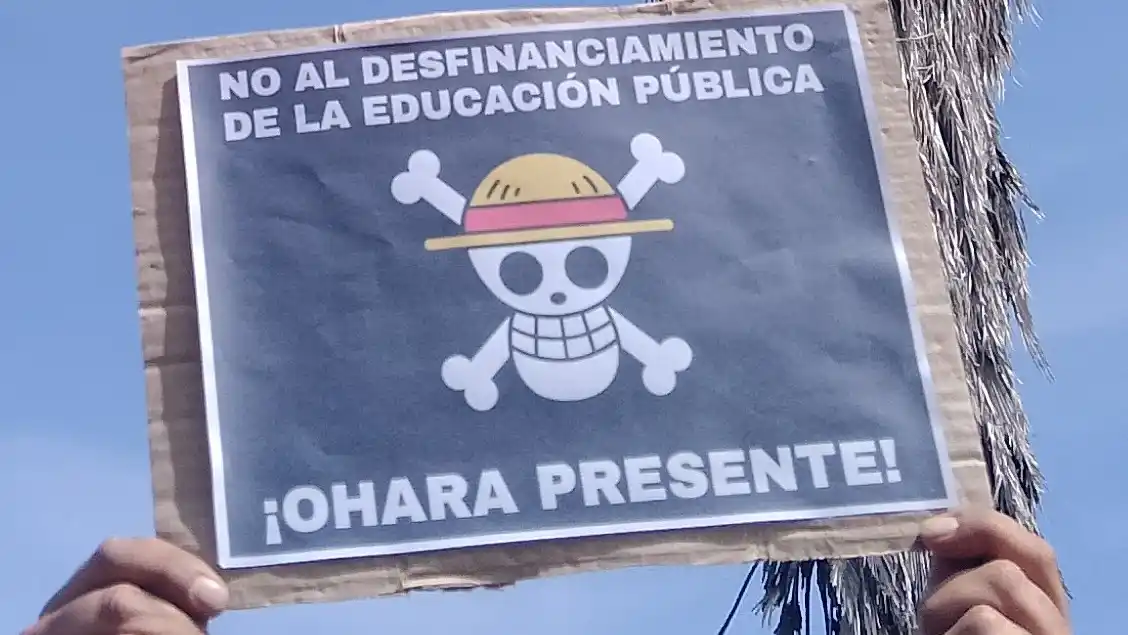 El fenómeno One Piece en las marchas: la identificación de las luchas sociales a través de historias de anime