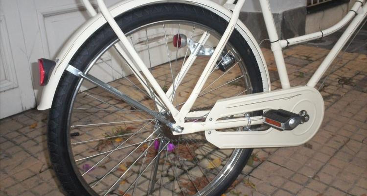 Le pegaron una trompada y le robaron la bici en 3 de Febrero y Pellegrini
