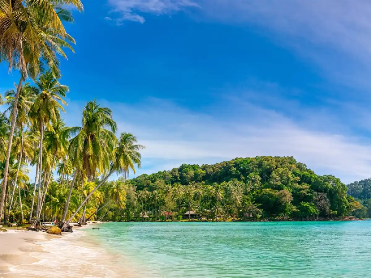 Niño de 12 años le robó la tarjeta de crédito a sus padres y viajó solo a Bali