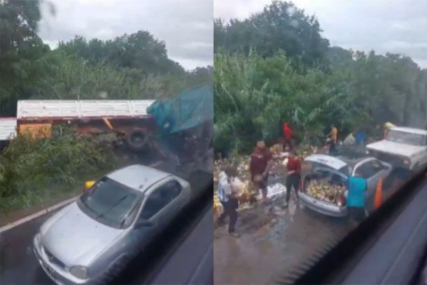 Un camión que transportaba vinos volcó en Ruta 11 y fue saqueado por vecinos