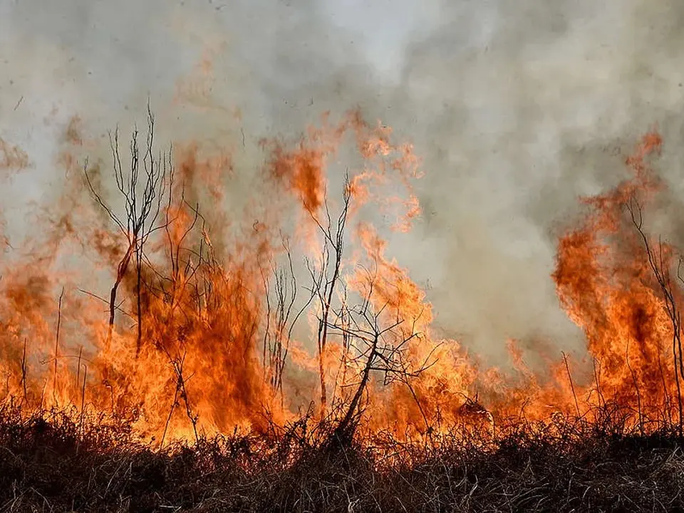 La Corte condenó a Nación, provincias y municipios por las quemas en el Delta del Paraná