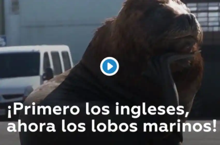 El desafortunado chiste de la televisión rusa sobre la derrota argentina en Malvinas