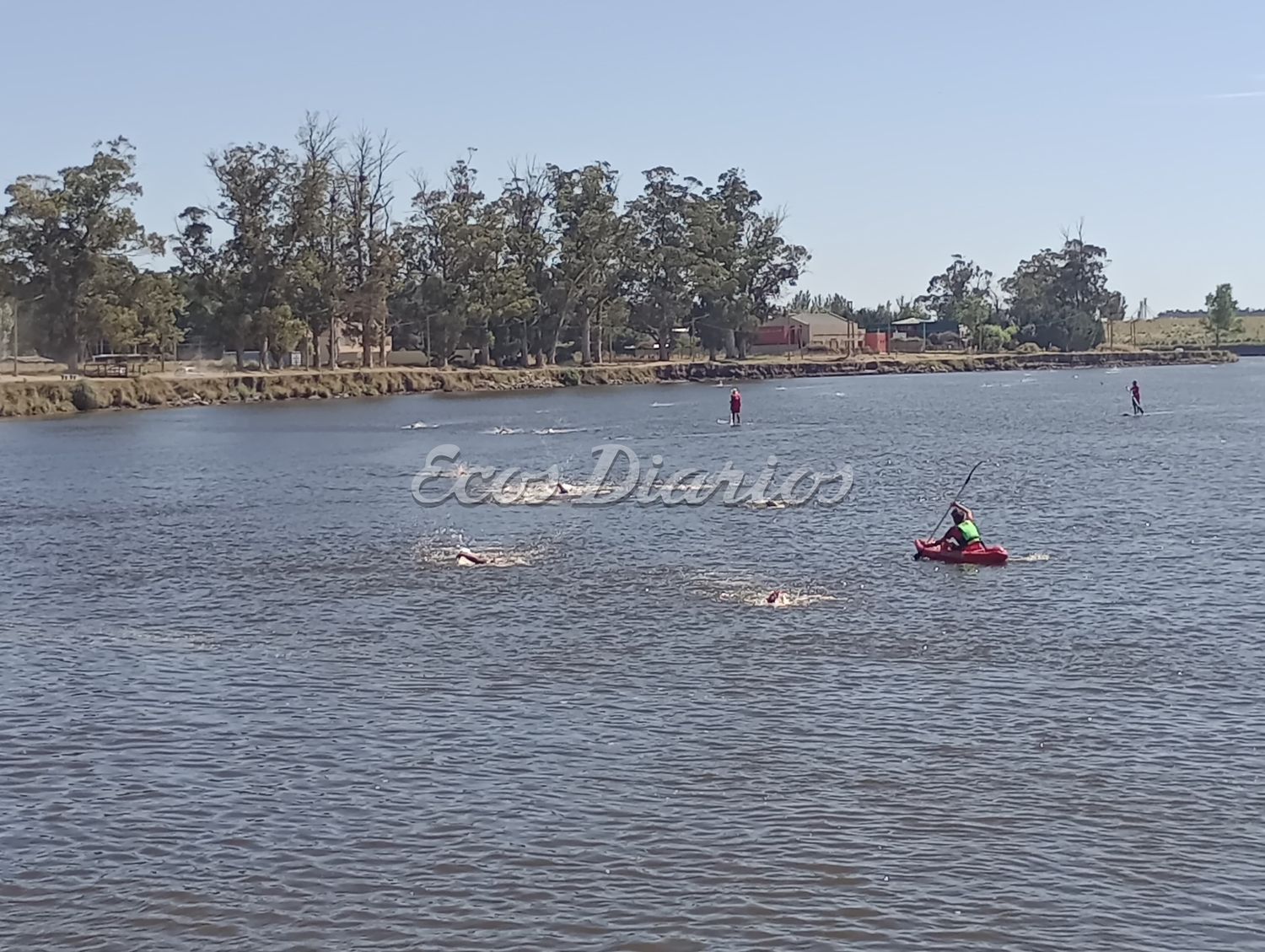 Aguas abiertas (archivo)