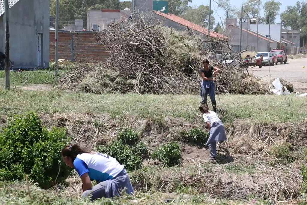 La cooperativa El Laurel transformó la  fisonomía del arroyo Del Fuerte