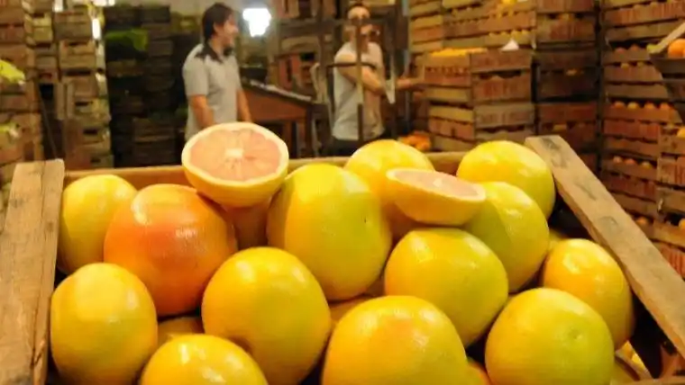 Donan 30 mil kilos de frutas y verduras recuperadas