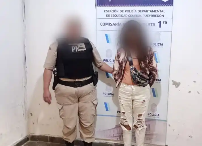 La mujer ingresó al comercio junto a un hombre que no fue identificado y ambos realizaron consumos por un monto total de $63.500.