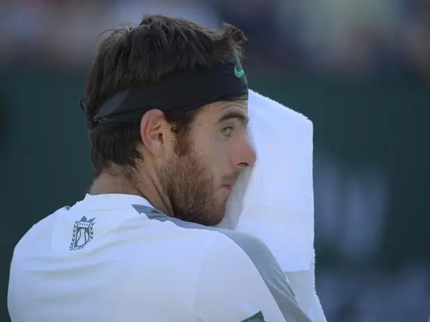 ATP de Queen's: Del Potro cayó con Hewitt y quedó eliminado