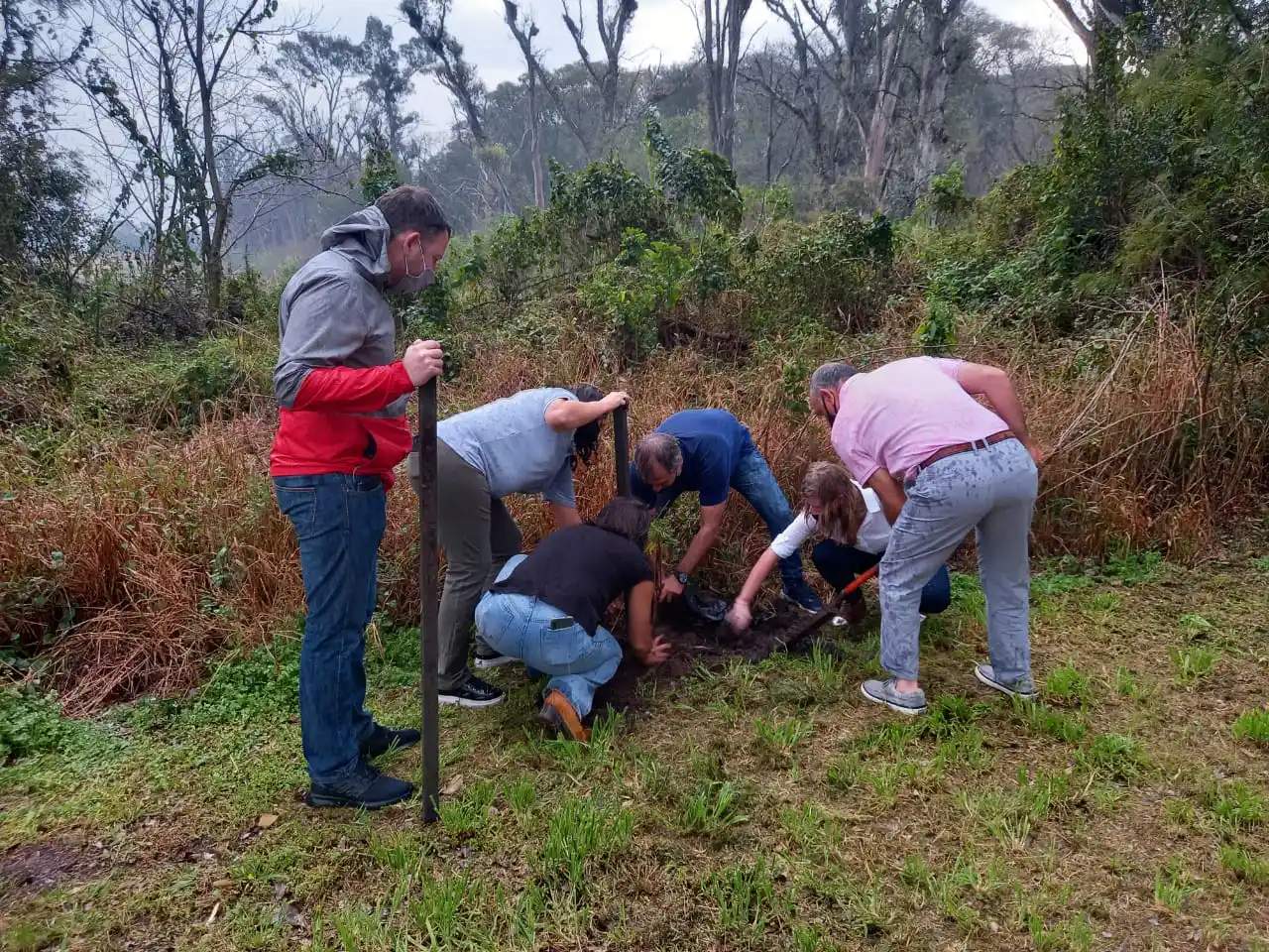 Día Nacional del Árbol: se plantaron especies nativas en Victoria