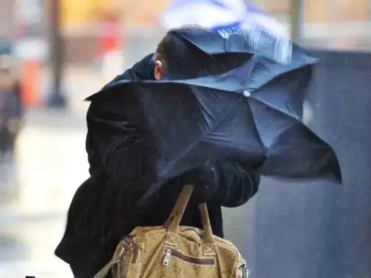 Se esperan tormentas y vientos fuertes en toda la provincia de Buenos Aires.