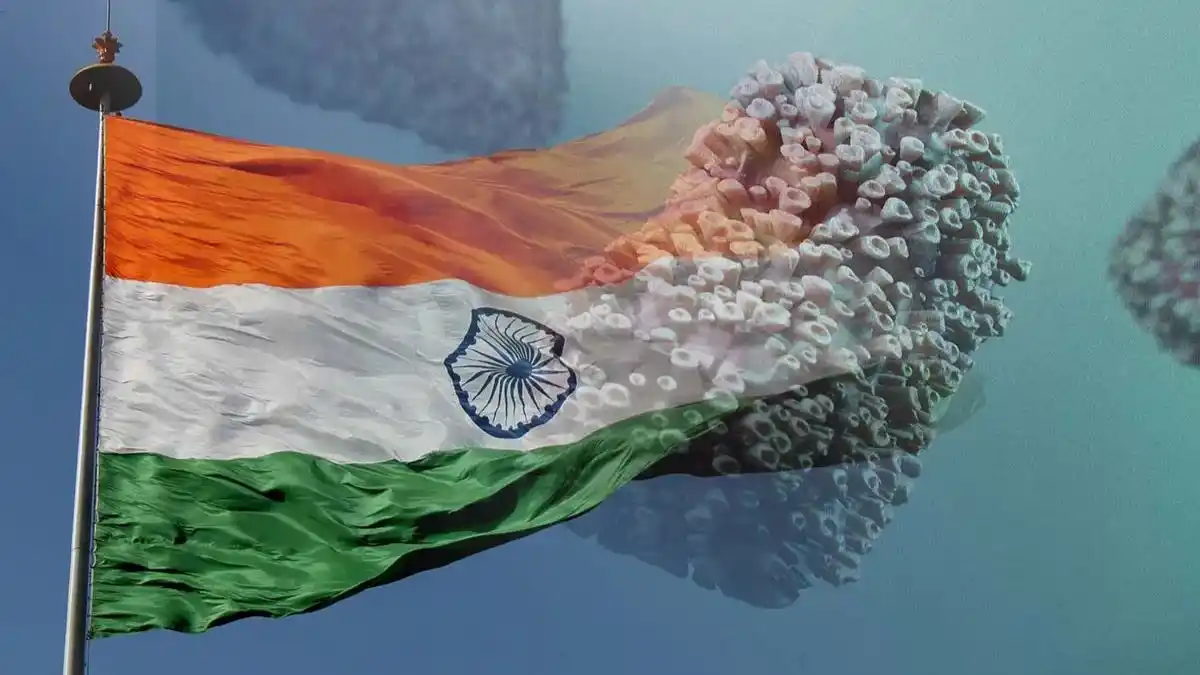 Detectan una nueva variante de la viruela del mono en la India