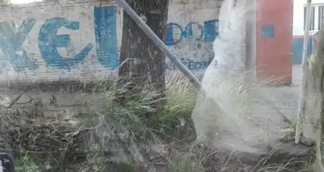 Reporte: ¿Nunca van a hacer un vereda y que se mantenga limpia?