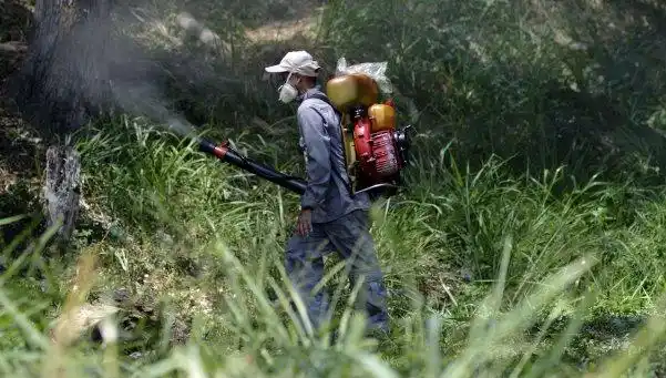 La OMS declaró la emergencia global por el zika