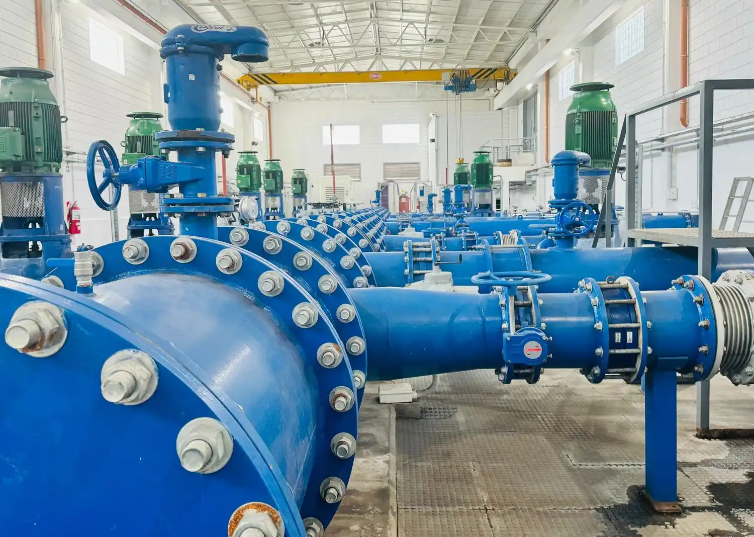 La empresa municipal debió superar una instancia de selección sustentada en parámetros internacionales.