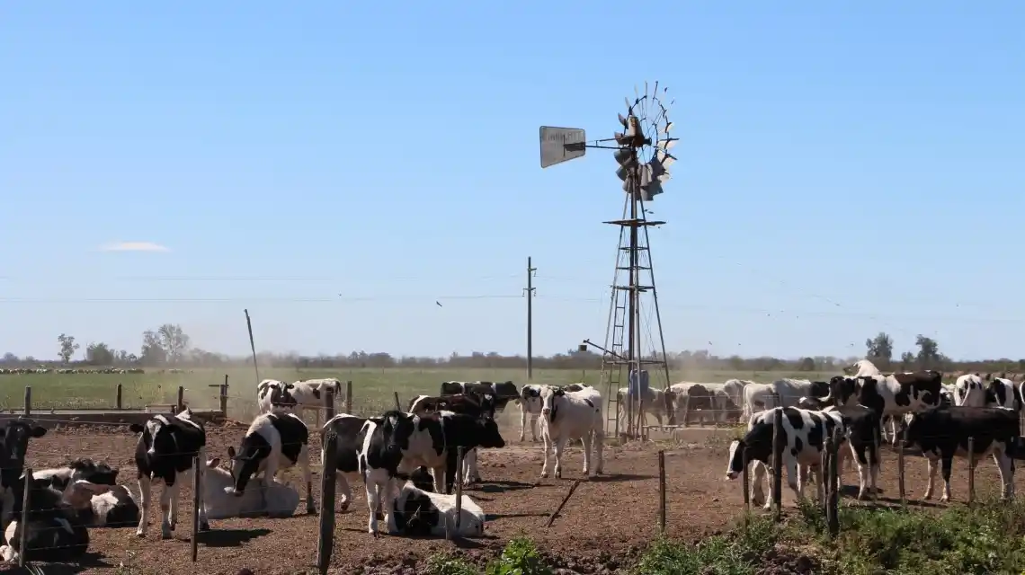 Impulso Tambero: Santa Fe lidera las solicitudes de compensación para el sector