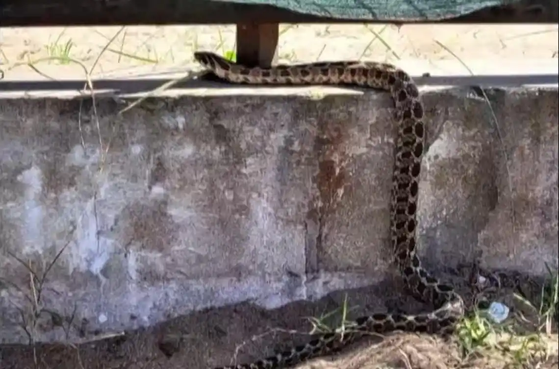 Foto: Opiniondelacosta.com.ar