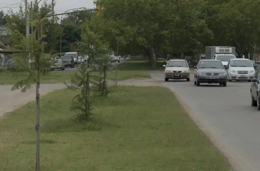 Plan Forestal: "No sólo se trata de plantar árboles, sino de la promoción"