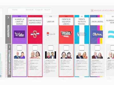 El Gobierno apeló el fallo por la reimpresión de boletas