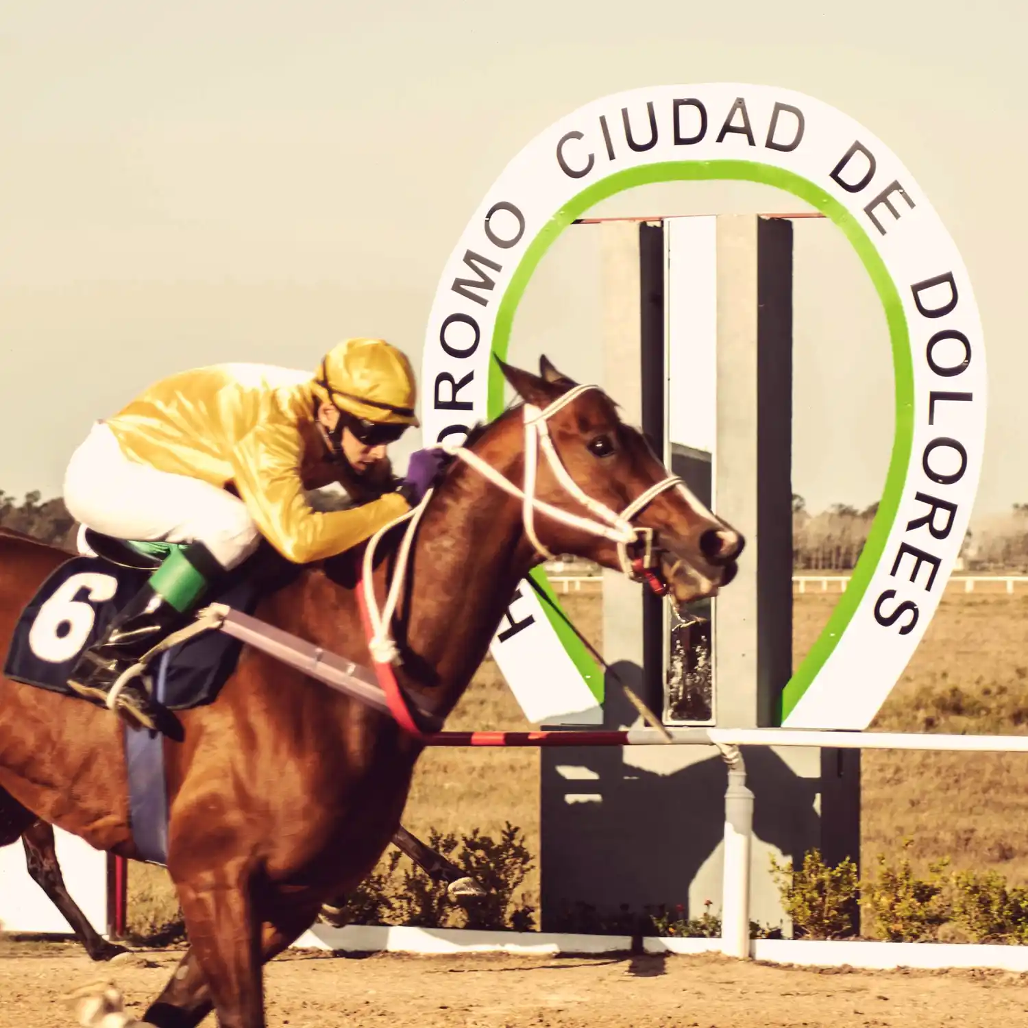 El 20 de noviembre reapertura del Hipódromo Ciudad de Dolores