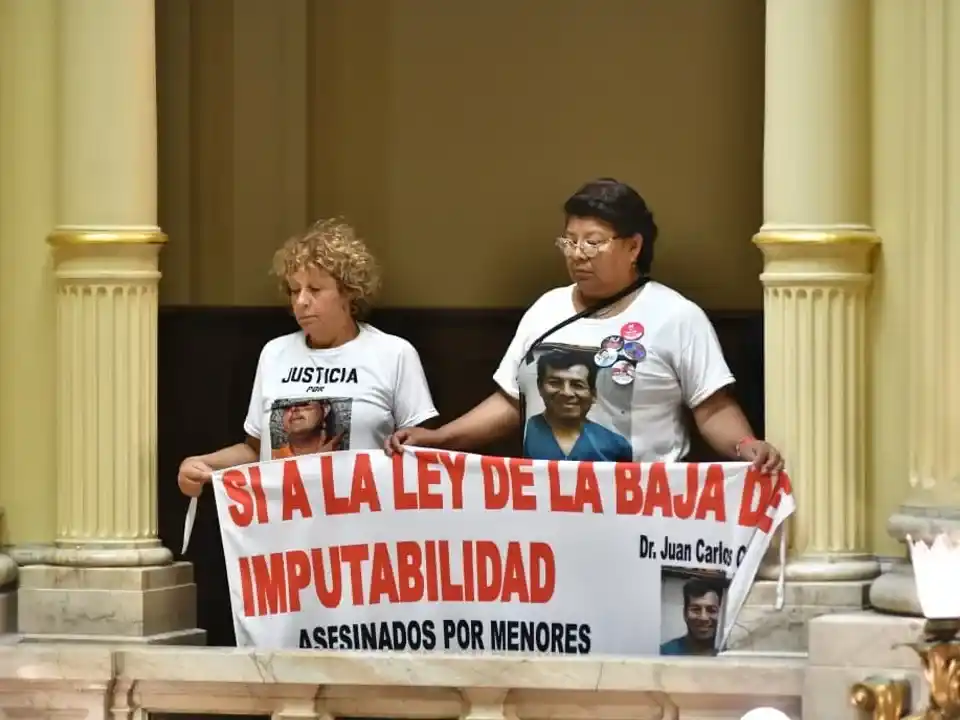 El Gobierno promulgó el nuevo Régimen Penal Juvenil y baja la edad de imputabilidad a 14 años